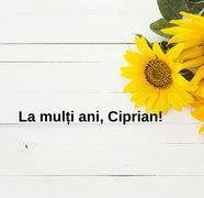 Mesaje și urări de Sf. Ciprian 2025: Cele mai frumoase felicitări pentru ziua de 2 octombrie